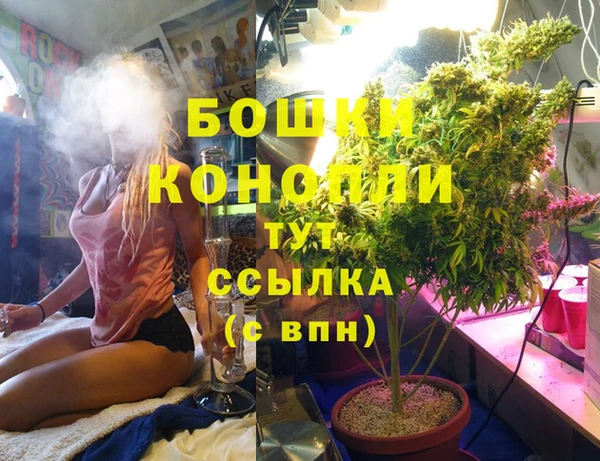 индика Богданович